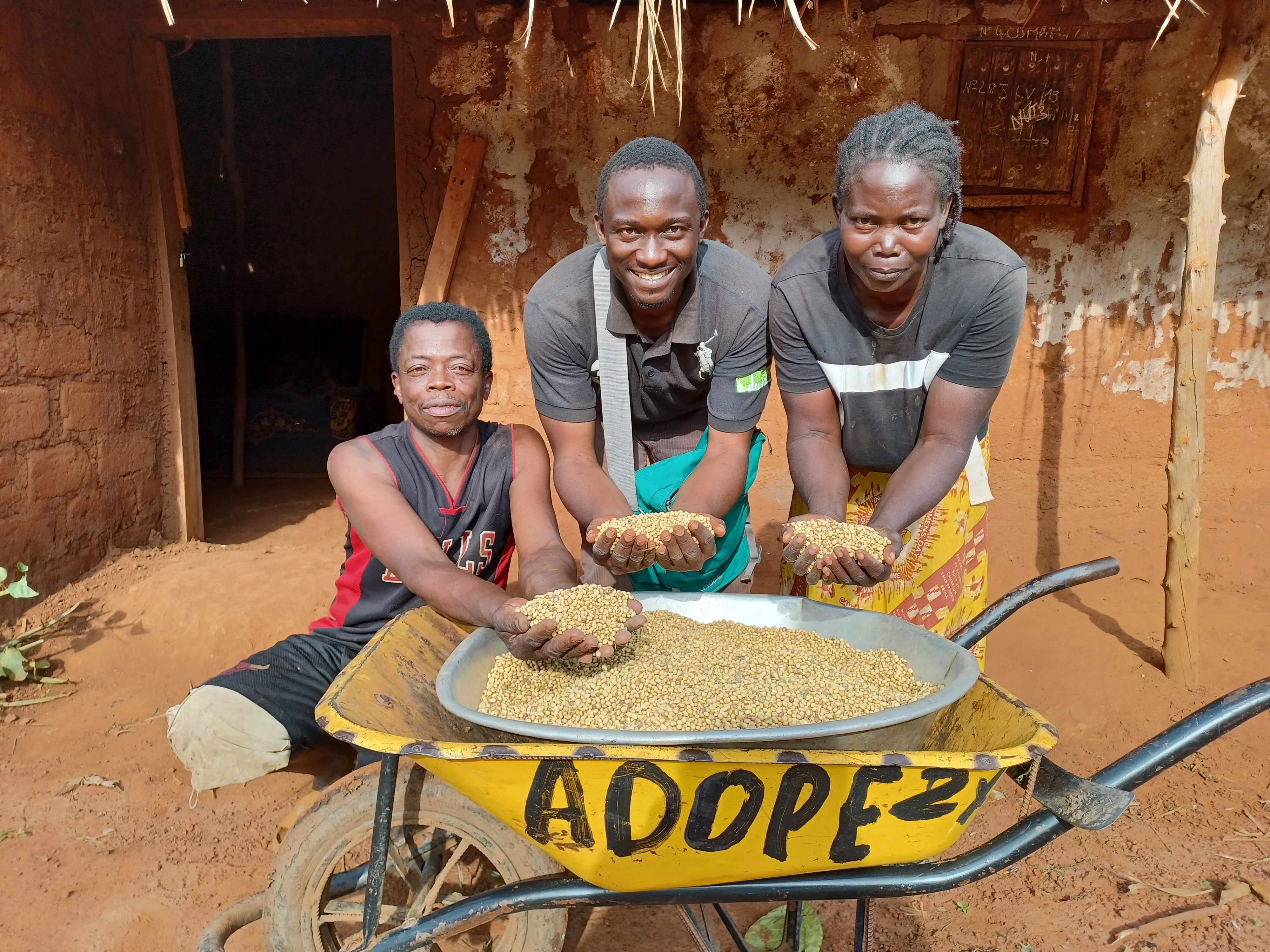 Travailleurs agricoles dans un champ